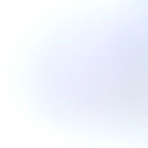 Meet your Posher, Daniella